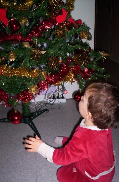 Noël 2005